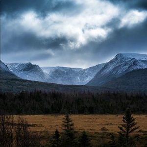 Meet your Posher, Traci